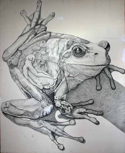 FROG