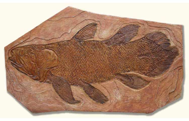 V2 Coelacanth
